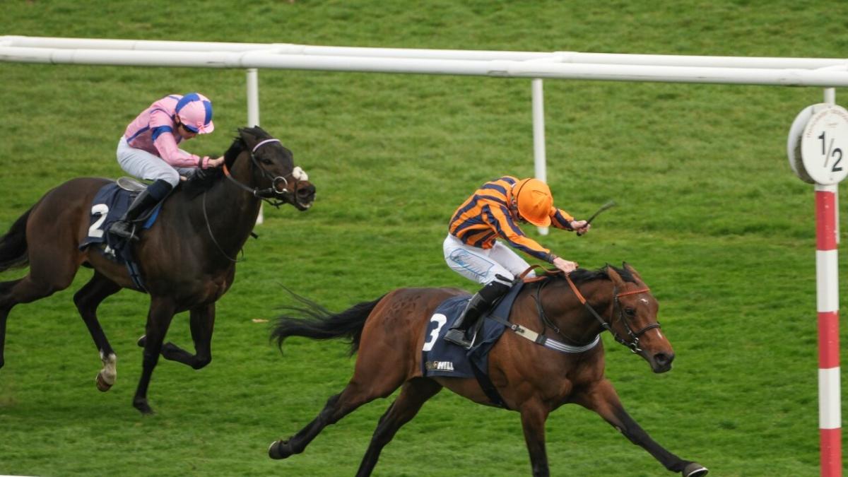 Doncaster races